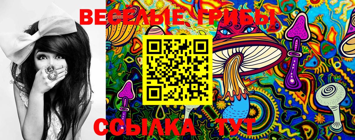 Галлюциногенные грибы Magic Shrooms  наркошоп  Назарово  Вход с VPN 