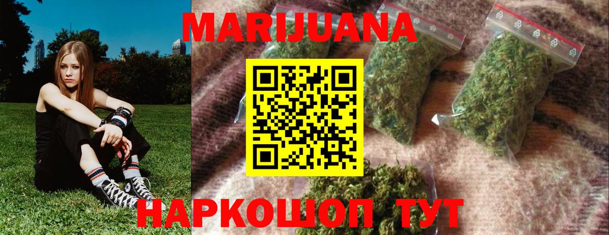 Конопля планчик Назарово